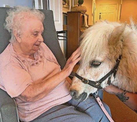 Conjuring up some animal magic for residents to enjoy