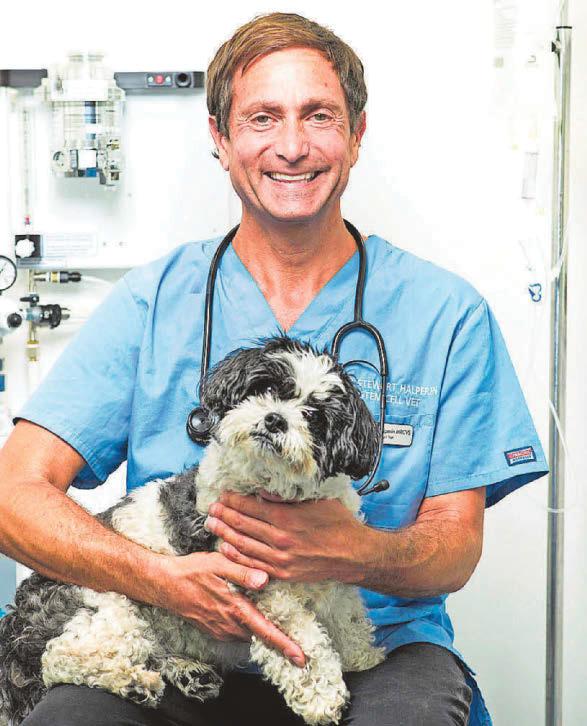 Pioneer whose work reduces heartache of owners