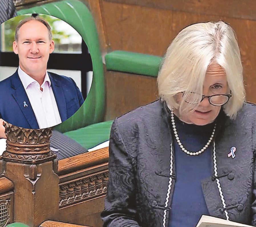 MP highlights council leader’s loss in call for better bereavement help