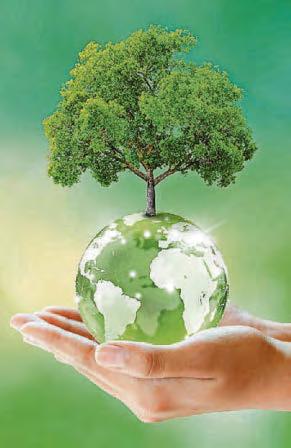 THE FUTURE IS GREEN