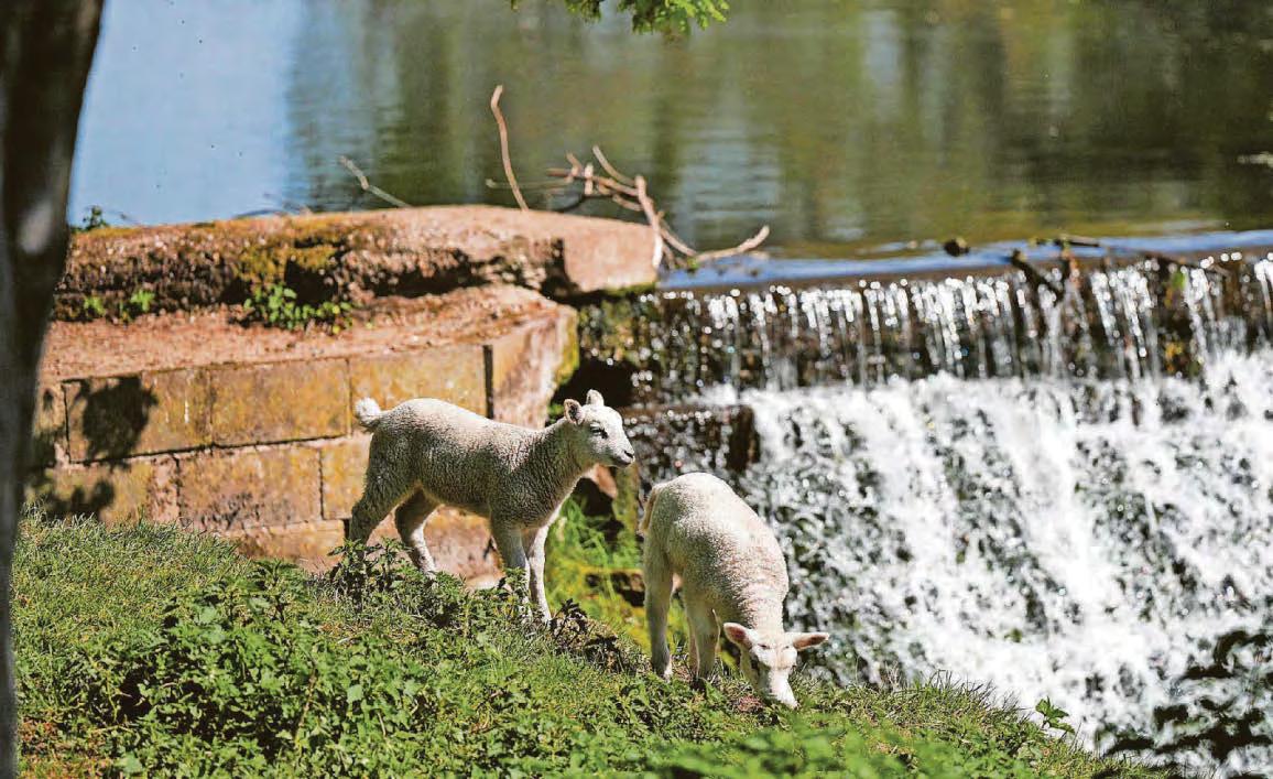 We have a moral duty to be net zero leaders