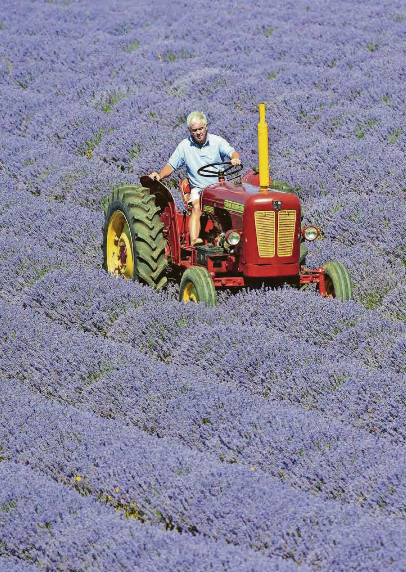 Shocked at amount of rubbish on streets