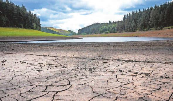 Experts warn wet weather is needed for drought recovery