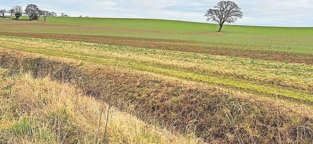 'Grey belt' planning decision approval for new solar farm