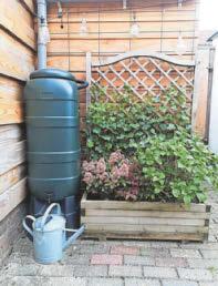HOW WILL YOUR GARDEN GROW?