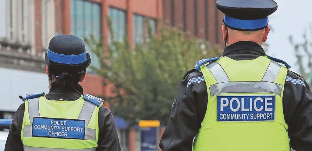 Axes, imitation firearms & batons seized by police