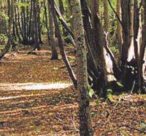Car park charges at some country parks set to rise