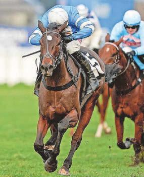 Let It Rain to bring ray of sunshine for Skelton