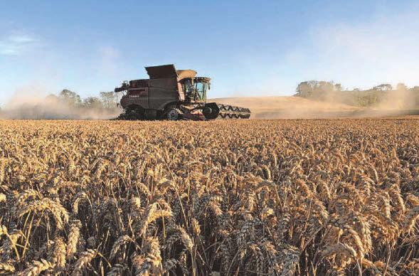 Farming resilience needed for food security, NFU leader says