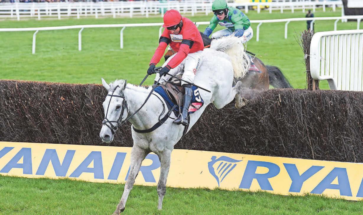 Dan hoping to see a new Dawning for Festival glory