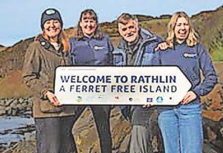 Feral ferrets eradicated from isle