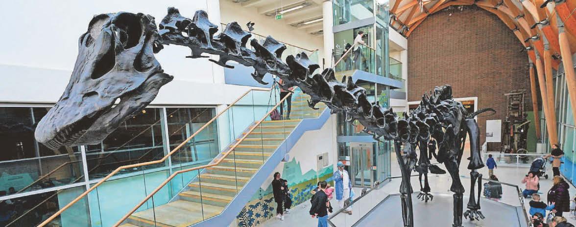 NEW DIPPY INSPIRED DINOSAUR EXHIBITION OPENS IN CITY