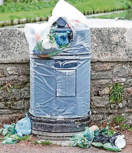 Politicians waste no time in taking care of overflowing bin themselves