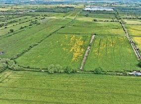 Green means clean with wetlands project acting as a fertiliser filter
