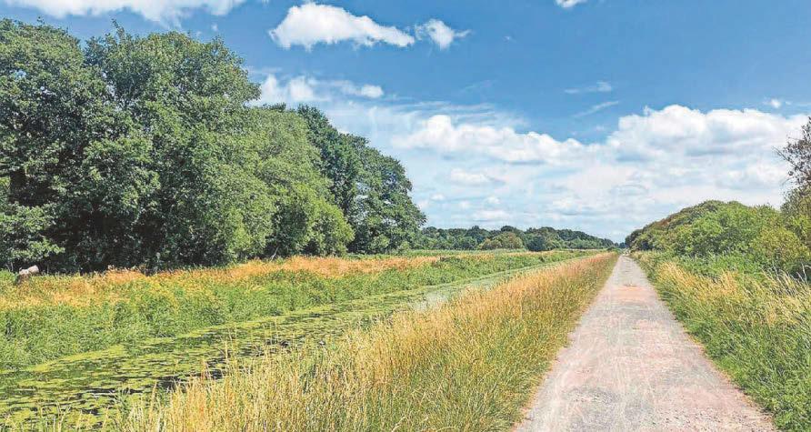 Get right next to nature