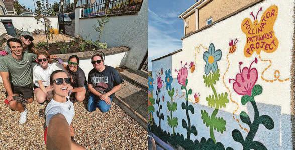 How plants in alleyways can be path to a happier community