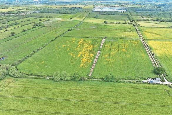 £5m wetlands plan to clean up waterways and boost wildlife