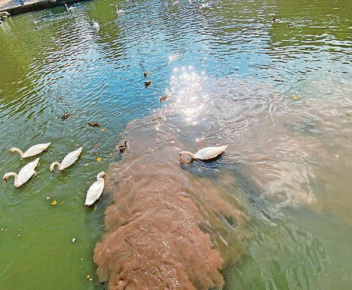 MPs raise the alarm on rivers' worsening state