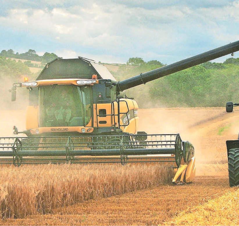 Dry spring places arable harvest 'on a knife edge'