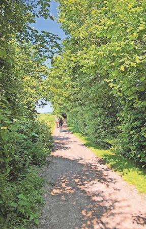 Popular path now needs all the Friends it can get