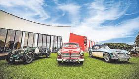 Get in gear for motor museum's half-term bug hunt adventure