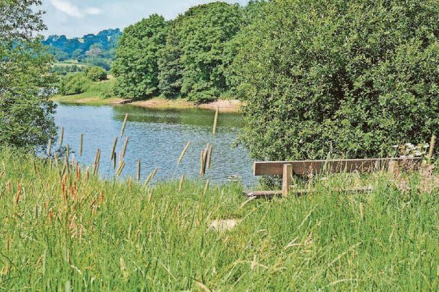 Families urged to save water ahead of another 'heatwave'