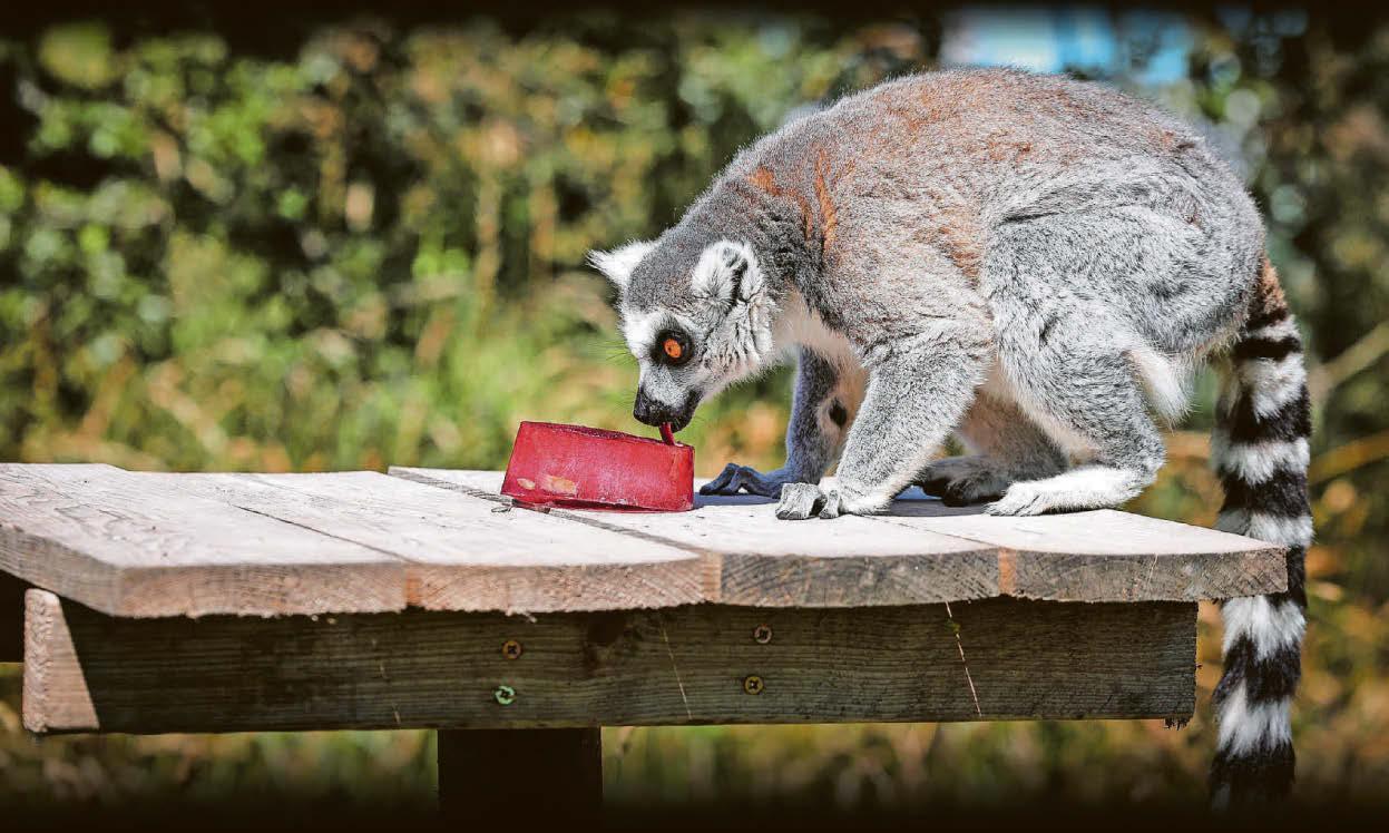 Thirsty work!