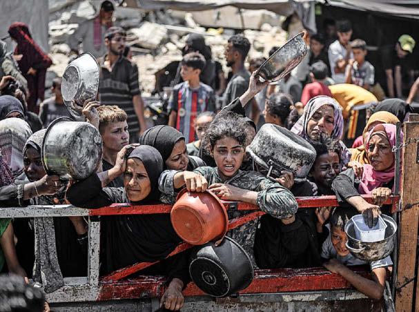 Appeal to UN amid Gaza 'horror show'