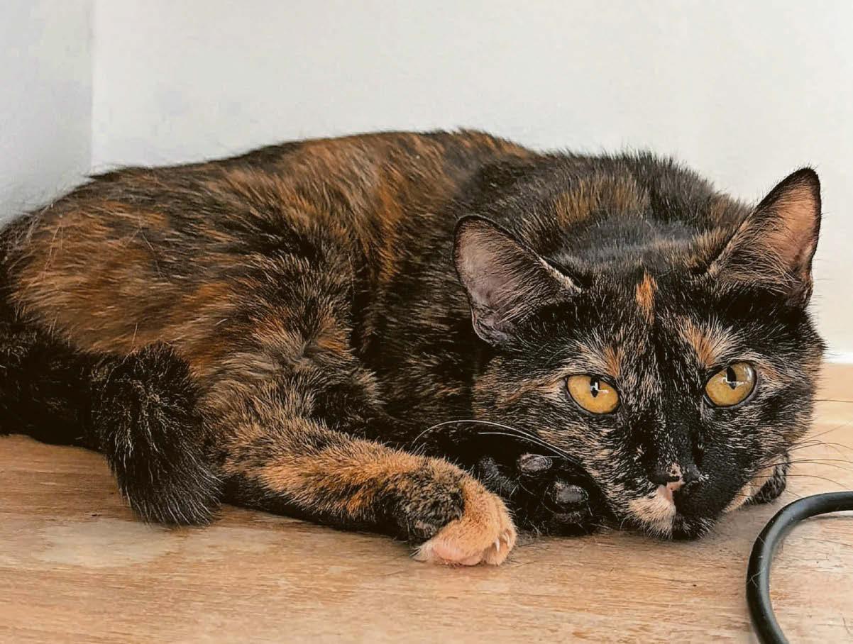 New kitty off the block!