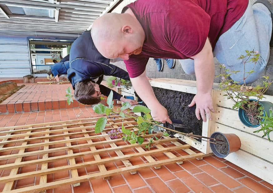 Groups dovetail in project to transform unused land for library staff and users