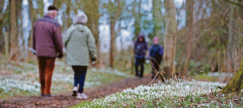 'Together, we hope to relieve pressure on mental wellbeing services in county'