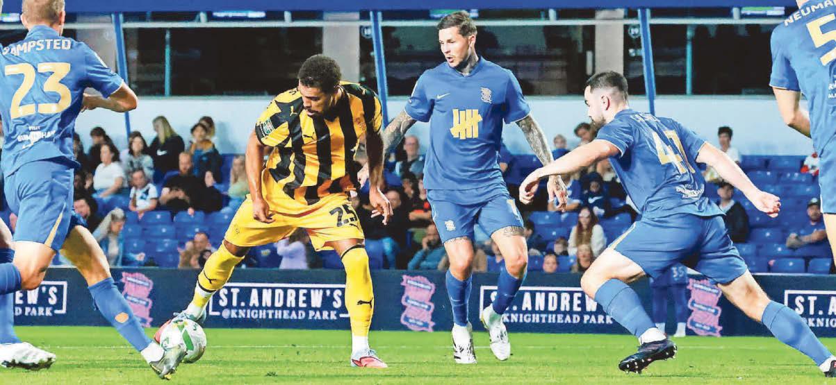 BRILLIANT VALE KEEP RIGHT ON TO PULL OFF CUP SHOCK