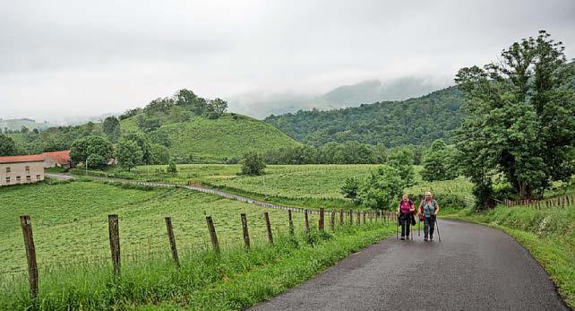 Samantha, 76, set for 14-day, 200-mile charity hike