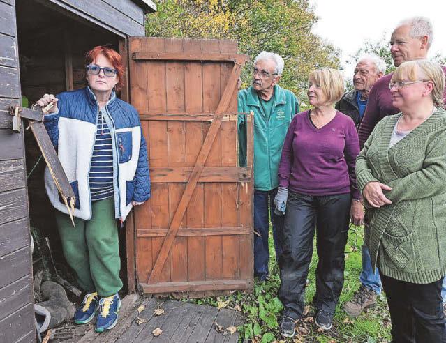 Burglars 'went from shed to shed' during allotments raid