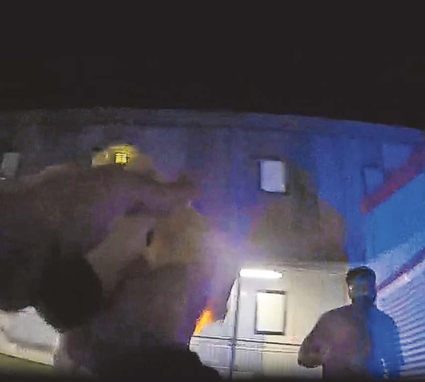 Driver 'could have killed someone' in Royal Stoke chase