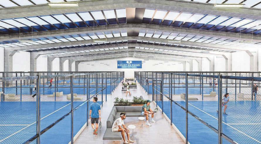 Padel players await courts verdict