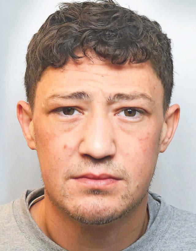 Dealer caught with loaded pistol after £13k cannabis package seized at airport