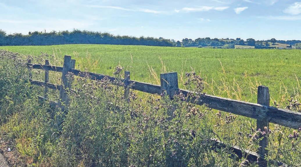 Hundreds bid to save fields