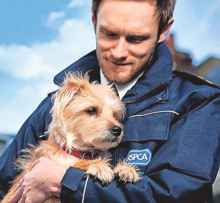 Animals paying 'ultimate price' in tough times