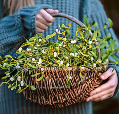 DIY festive foliage that is a real snip!