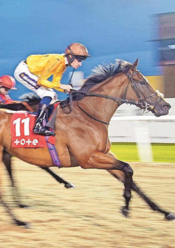 Heathcliff can shine over seven furlongs