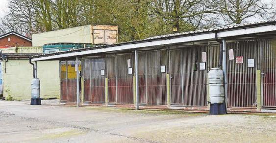 Charity Commission probe at dog rescue
