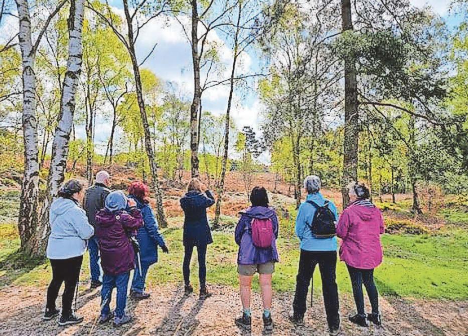 Volunteering can be a breath of fresh air