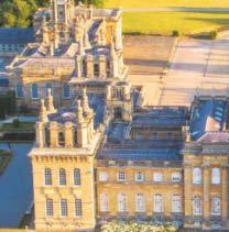 Palace intrigue