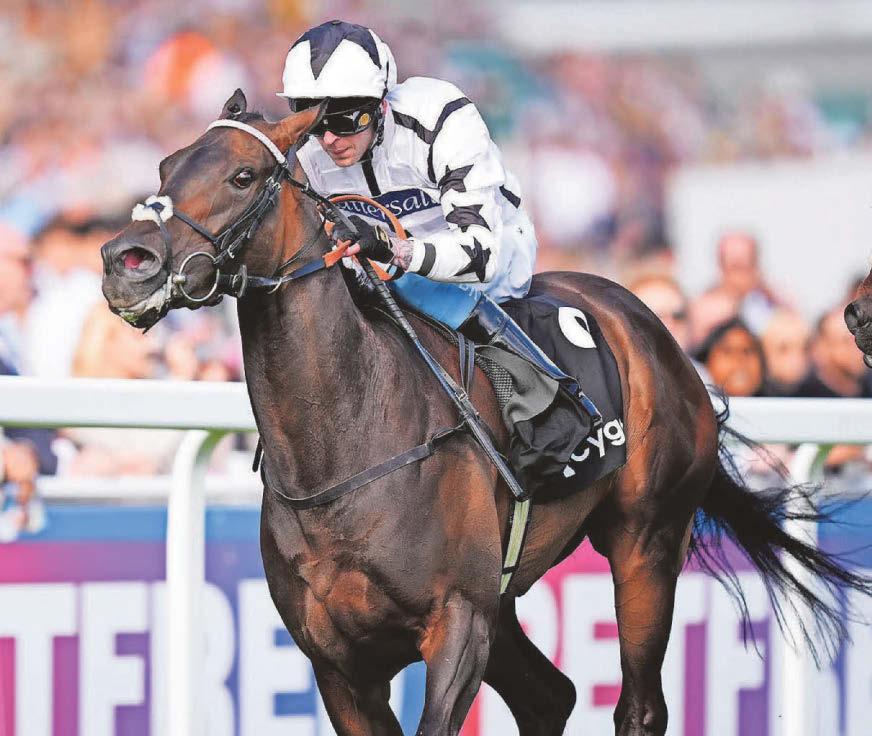Elusive Butterfly can float to win in Carlisle