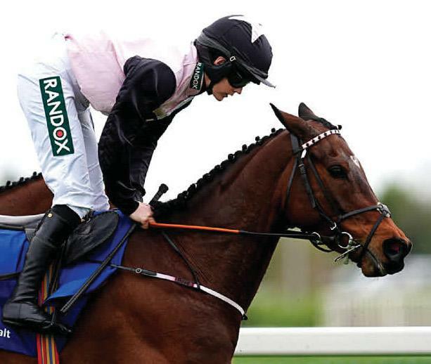 Heartwarmer