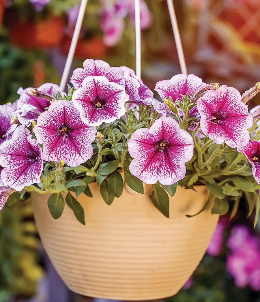 Get ready now to spring into action