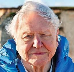 SIR DOUGH-VID ATTENBOROUGH