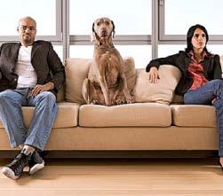 We put happiness on paws for 'puppy love'
