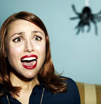 INVASION OF THE POISON SPIDERS!